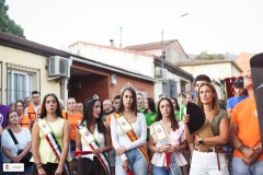 Fiestas26-D23-241