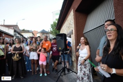 Fiestas26-D23-305