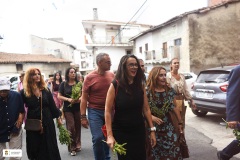 Fiestas26-L24-308