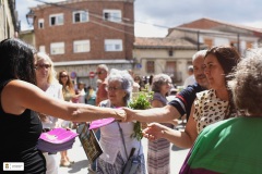 Fiestas26-L24-332
