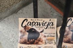 Fiestas26-L24-62