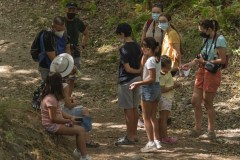 mariposas-y-su-entorno-miercoles-11-2021-1