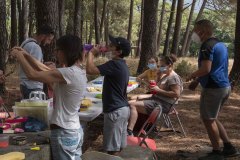 mariposas-y-su-entorno-miercoles-11-2021-12