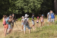 mariposas-y-su-entorno-miercoles-11-2021-15