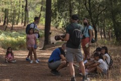 mariposas-y-su-entorno-miercoles-11-2021-17