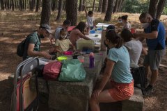 mariposas-y-su-entorno-miercoles-11-2021-3