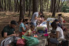mariposas-y-su-entorno-miercoles-11-2021-4