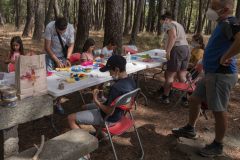 mariposas-y-su-entorno-miercoles-11-2021-8
