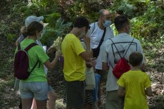 mariposas-y-su-entorno-miercoles-28-2021-12