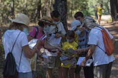 mariposas-y-su-entorno-miercoles-28-2021-26