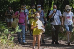 mariposas-y-su-entorno-miercoles-28-2021-31