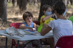 mariposas-y-su-entorno-miercoles-28-2021-33