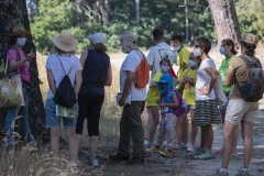 mariposas-y-su-entorno-miercoles-28-2021-5