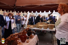 2026-04-18-X-Mascaravila-1133-CFR