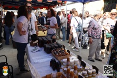 2026-04-18-X-Mascaravila-1221-CFR