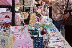 2026-04-18-X-Mascaravila-1231-CFR