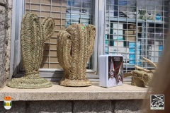 2026-04-18-X-Mascaravila-1359-CFR