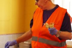 2026-04-18-X-Mascaravila-1382-CFR