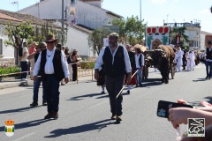 2026-04-18-X-Mascaravila-1389-CFR