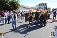 2026-04-18-X-Mascaravila-1390-CFR