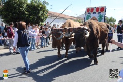 2026-04-18-X-Mascaravila-1391-CFR