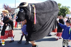 2026-04-18-X-Mascaravila-1416-CFR