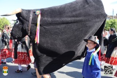 2026-04-18-X-Mascaravila-1417-CFR