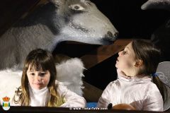 cabalgata_24-16