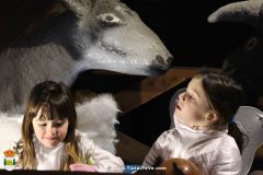 cabalgata_24-17