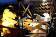 cabalgata_24-279