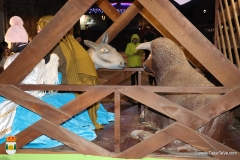 2026-01-05-Reyes-Casavieja-157-CFR