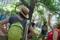 senda-botanica-miercoles-21-de-julio-2021-13