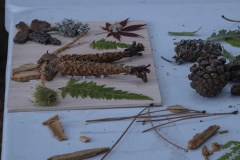 senda-botanica-miercoles-4-de-agosto-2021-28