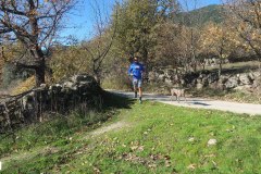 solidaria-navidena-24-km3-150