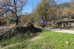 solidaria-navidena-24-km3-177