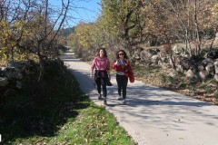 solidaria-navidena-24-km3-340