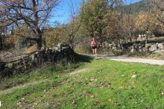 solidaria-navidena-24-km3-43