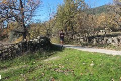 solidaria-navidena-24-km3-50