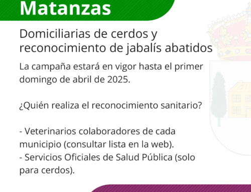 Campaña de Matanzas Domiciliarias y Análisis de Jabalís