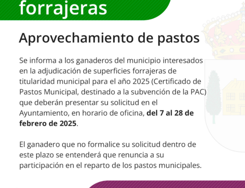 Adjudicación susperficies forrajeras 2025