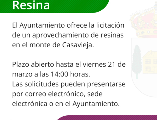 Licitación para aprovechamiento de resina