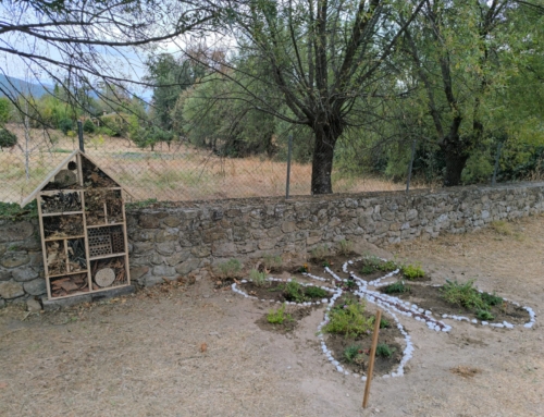 Jornadas de Voluntariado Ambiental