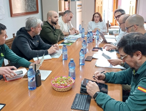 Casavieja avanza en la planificación de seguridad para la X edición de Mascarávila