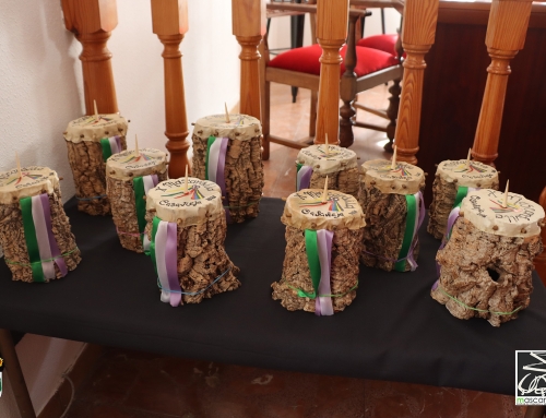 Vídeos Mascarávila 2026