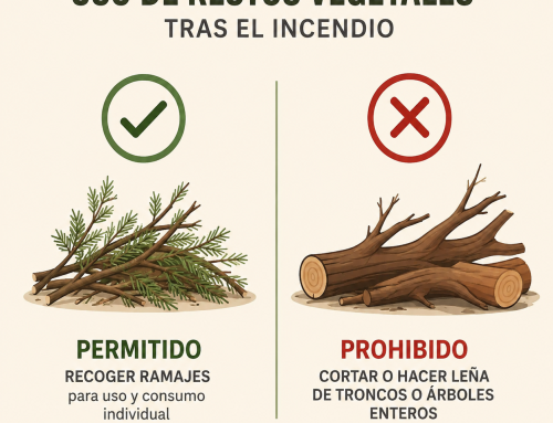 Recogida de ramajes tras el incendio