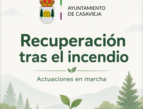 Casavieja avanza en la recuperación tras el incendio