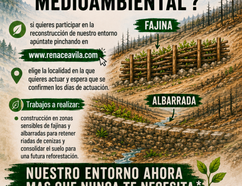 Voluntariado medioambiental para la recuperación de la sierra