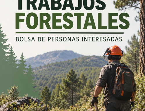 Bolsa de personas interesadas en trabajos forestales
