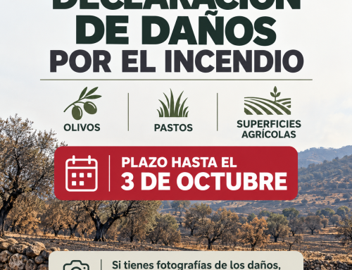 Declaración de daños agrícolas por el incendio