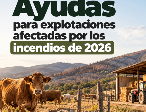 Ayudas para explotaciones afectadas por los incendios